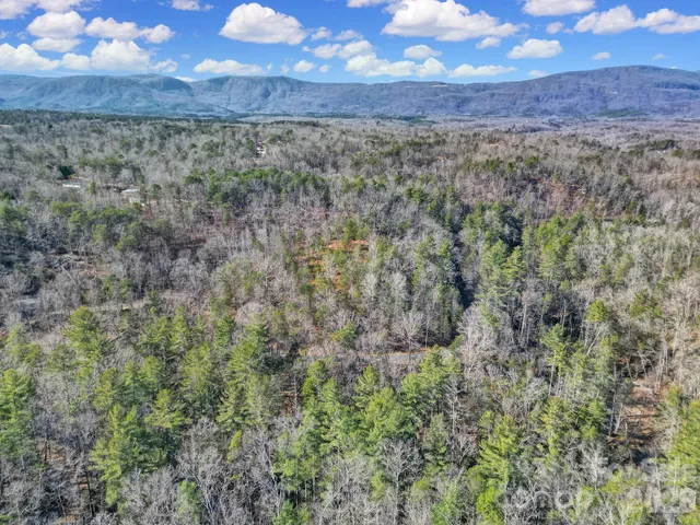 $69,000 | Lot 19 Ostin Creek Trail Mill Spring, Unit 19, Mill Spring, NC 28756