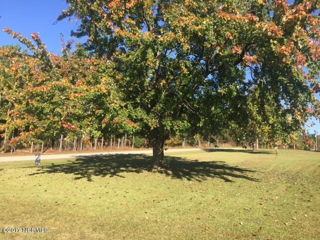 7454 Fish Pond Road Sims, NC 27880 - Photo 16 of 17 Front Yard View