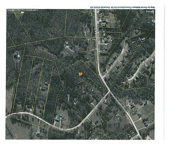 0 Flowery Branch Road Hoschton, GA 30548 - Photo 1 of 1 Aerial View.
