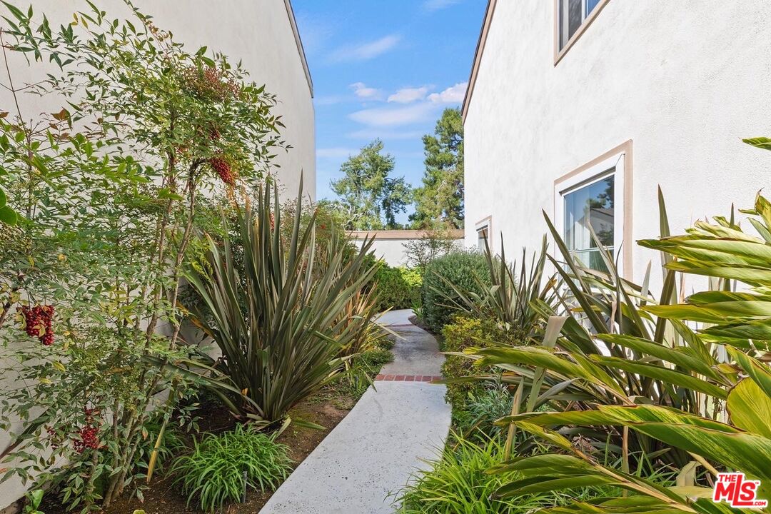 106 Sequoia Tree Lane Irvine, CA 92612 - Photo 24 of 36 a view of a potted plants with sky view