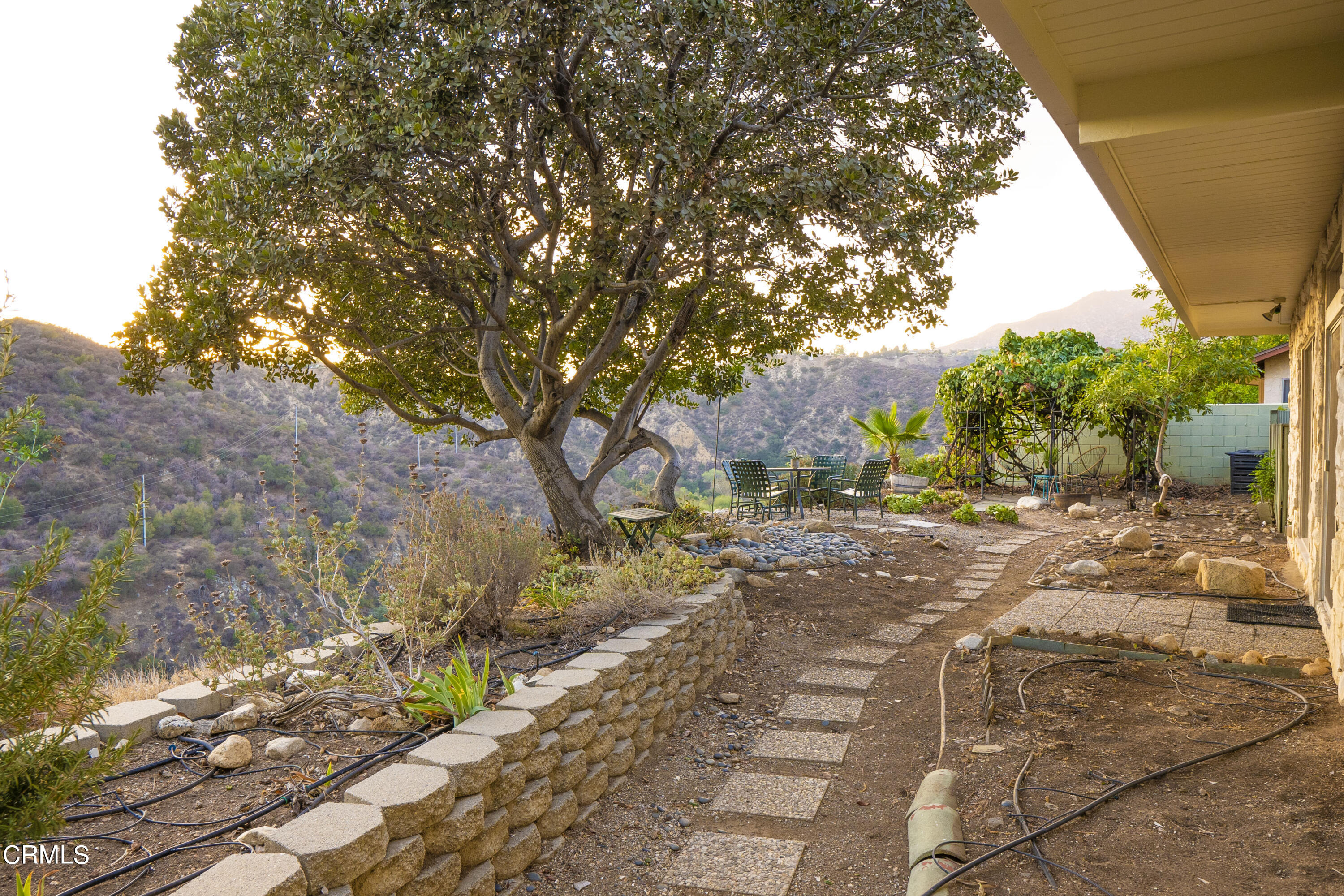 4017 Canyon Dell Drive Altadena, CA 91001 - Photo 21 of 28 a view of a yard with plants and trees