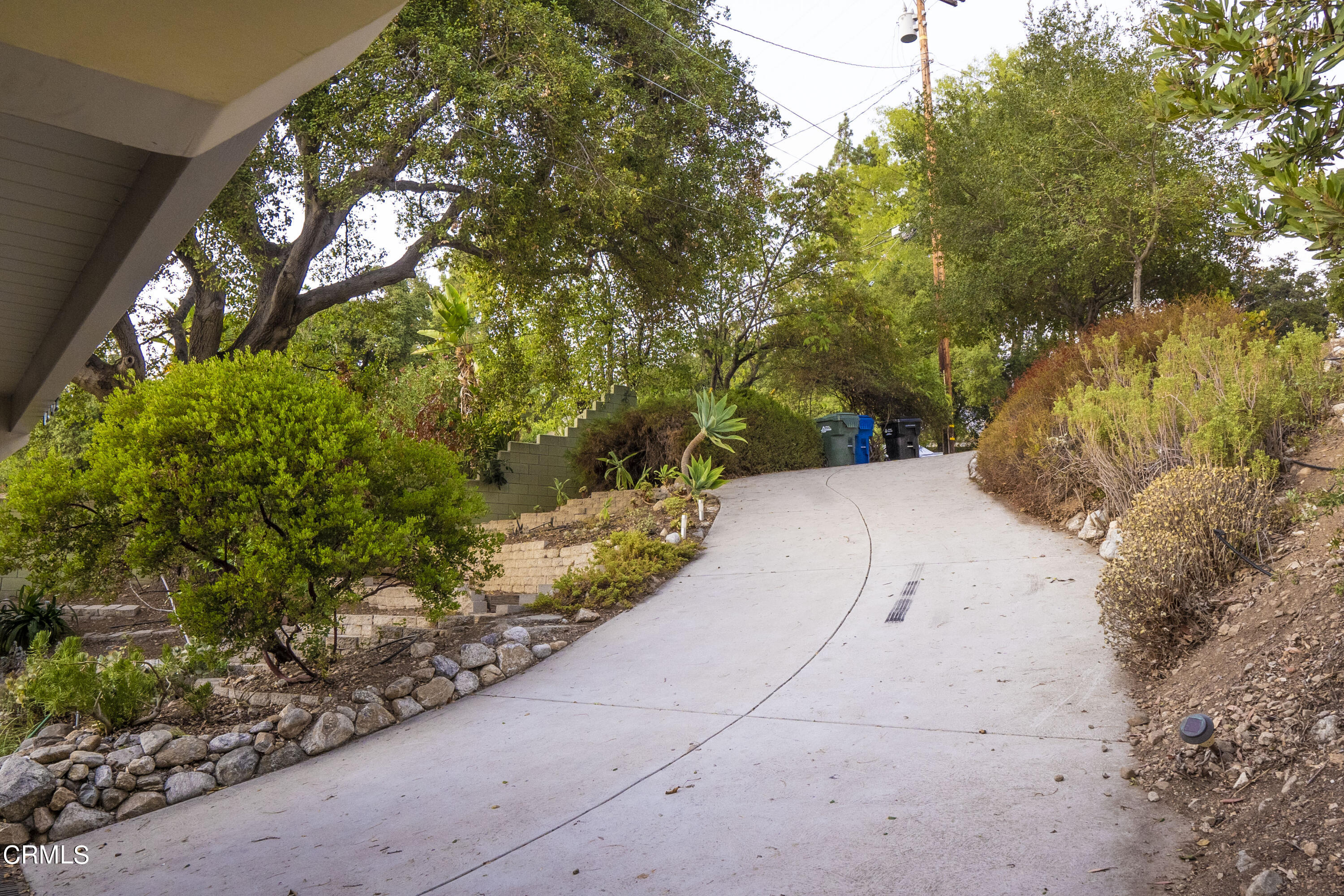 4017 Canyon Dell Drive Altadena, CA 91001 - Photo 24 of 28 a view of a yard with plants