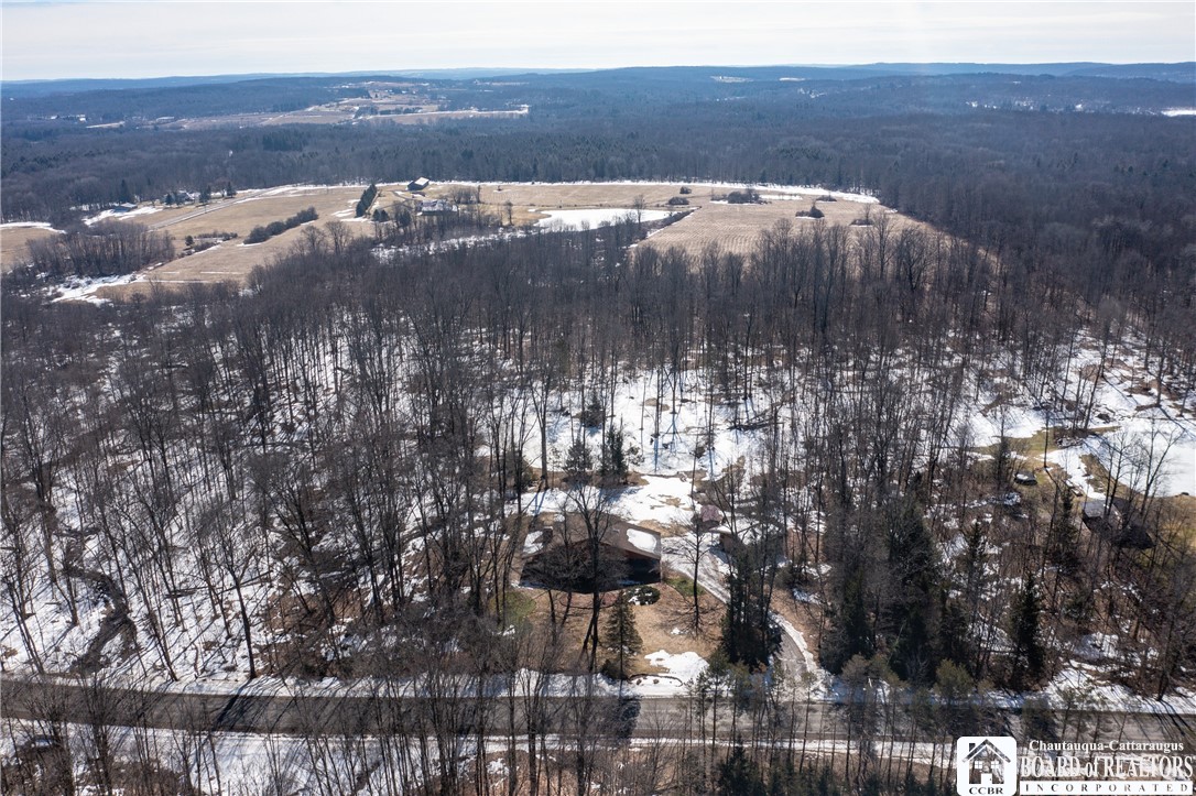 6075 Baker Road North Harmony, NY 14710 - Photo 40 of 47