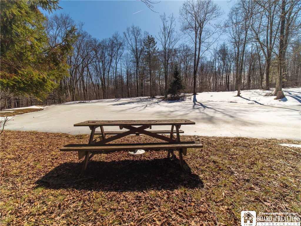 6075 Baker Road North Harmony, NY 14710 - Photo 45 of 47