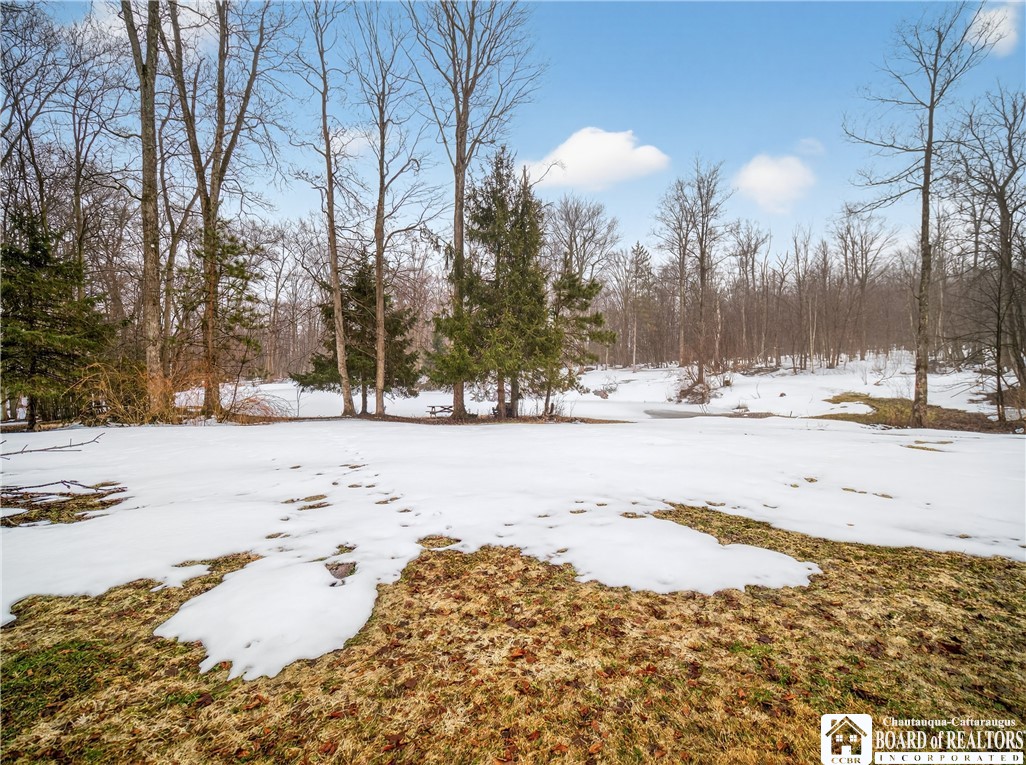 6075 Baker Road North Harmony, NY 14710 - Photo 46 of 47