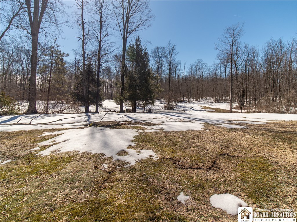 6075 Baker Road North Harmony, NY 14710 - Photo 47 of 47