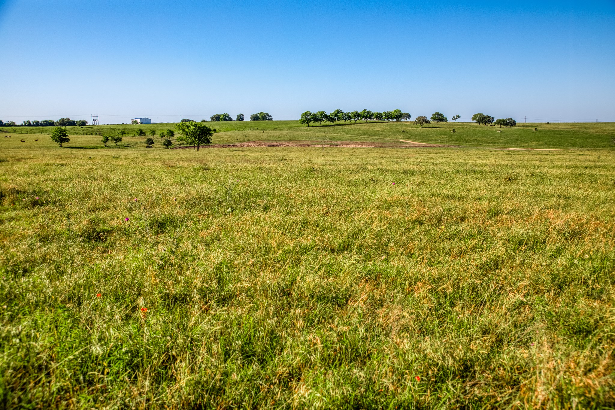 5005 Fuchs Road Burton, TX 77835 - Photo 4 of 8