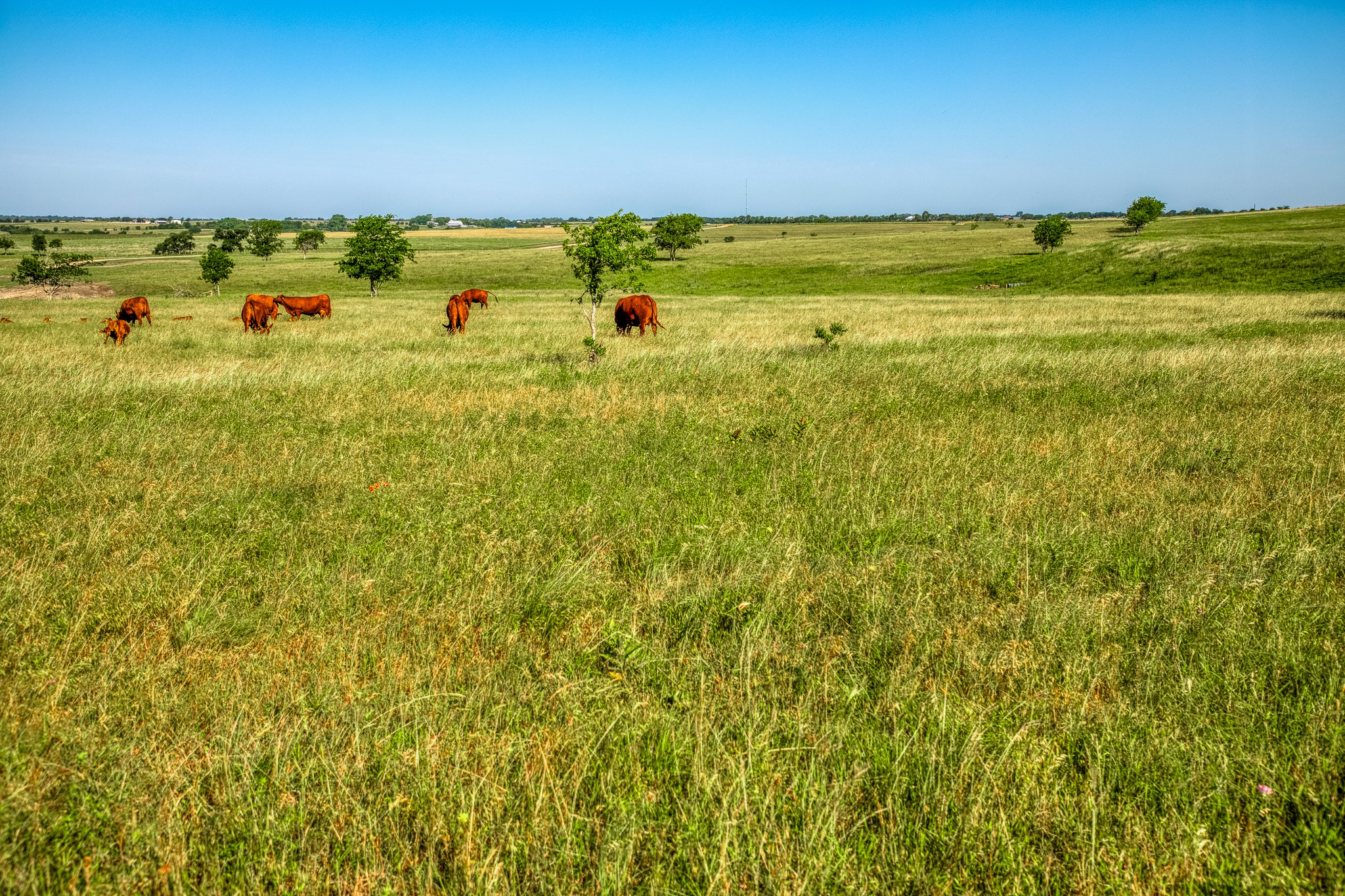 5005 Fuchs Road Burton, TX 77835 - Photo 8 of 8
