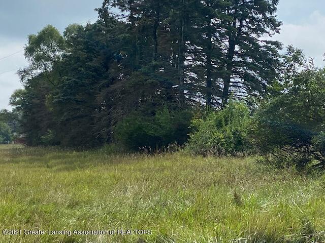 3123 South County Line Road St. Johns, MI 48879 - Photo 31 of 32 IMG_2488
