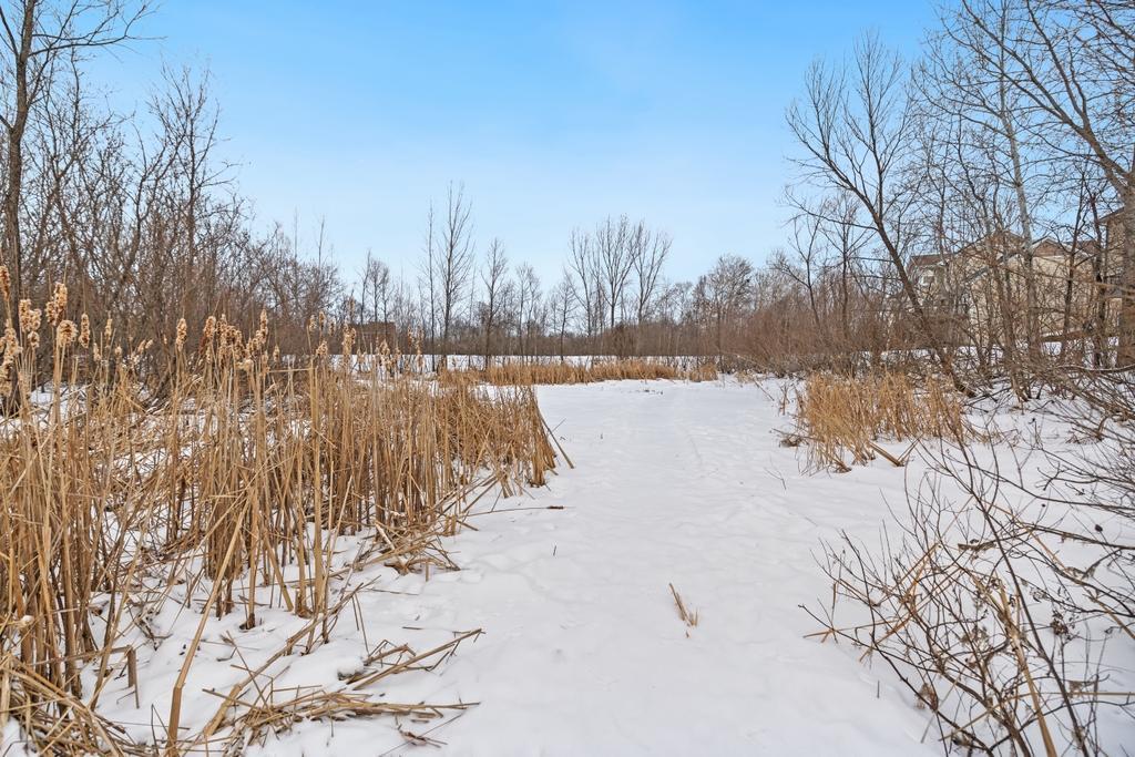 1246 Macey Way Stillwater, MN 55082 - Photo 52 of 55