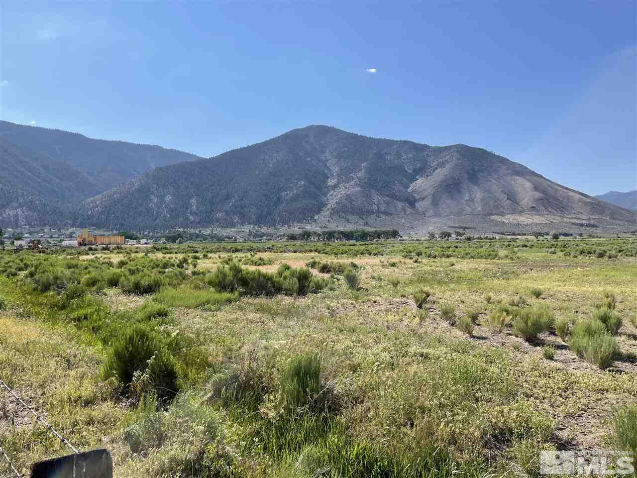 0 Deerhaven Genoa, NV 89411 - Photo 3 of 6 a view of a lush green hillside and houses
