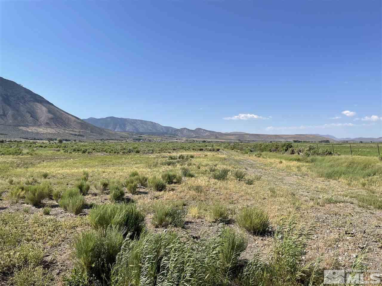 0 Deerhaven Genoa, NV 89411 - Photo 4 of 6 a view of a field with an ocean