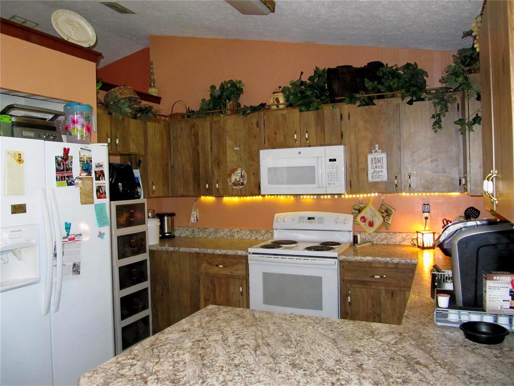 11815 Southeast 84 Avenue Belleview, FL 34420 - Photo 14 of 23 a kitchen view