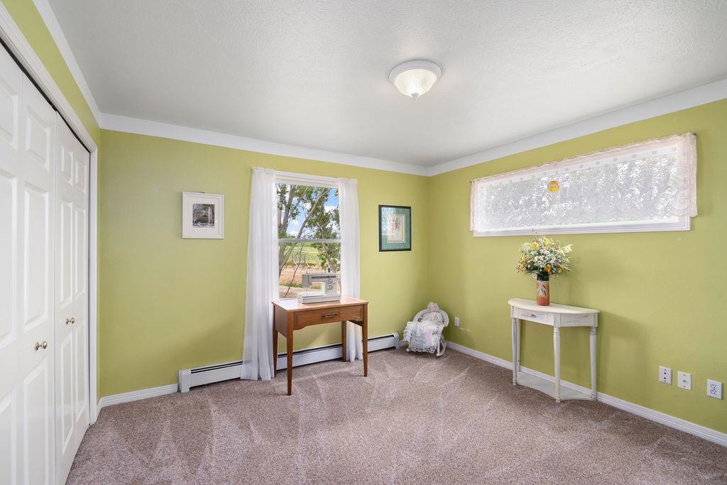 3213 B B 1/2 Road Grand Junction, CO 81503 - Photo 19 of 42 Gallery Image 19