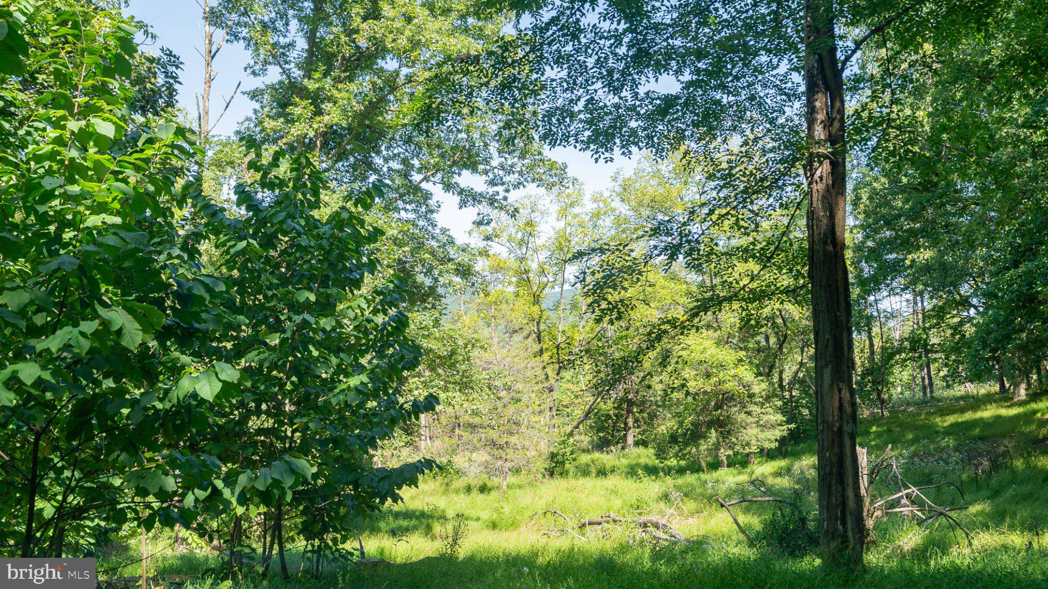 229 Inspiration Road Upper Tract, WV 26866 - Photo 15 of 30 Gallery Image 15