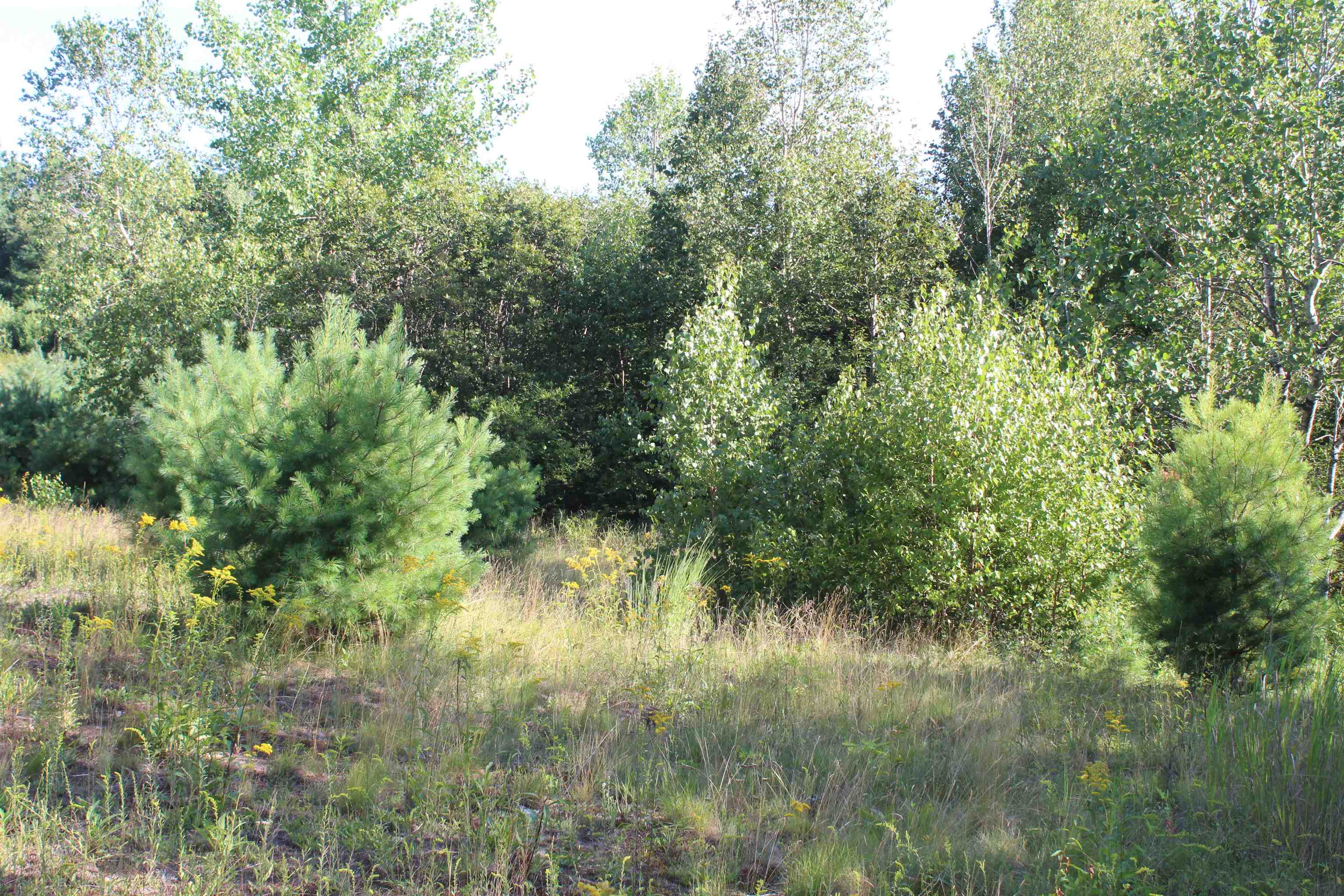 5 Catterall Road Lisbon, NH 03585 - Photo 17 of 40 Gallery Image 17