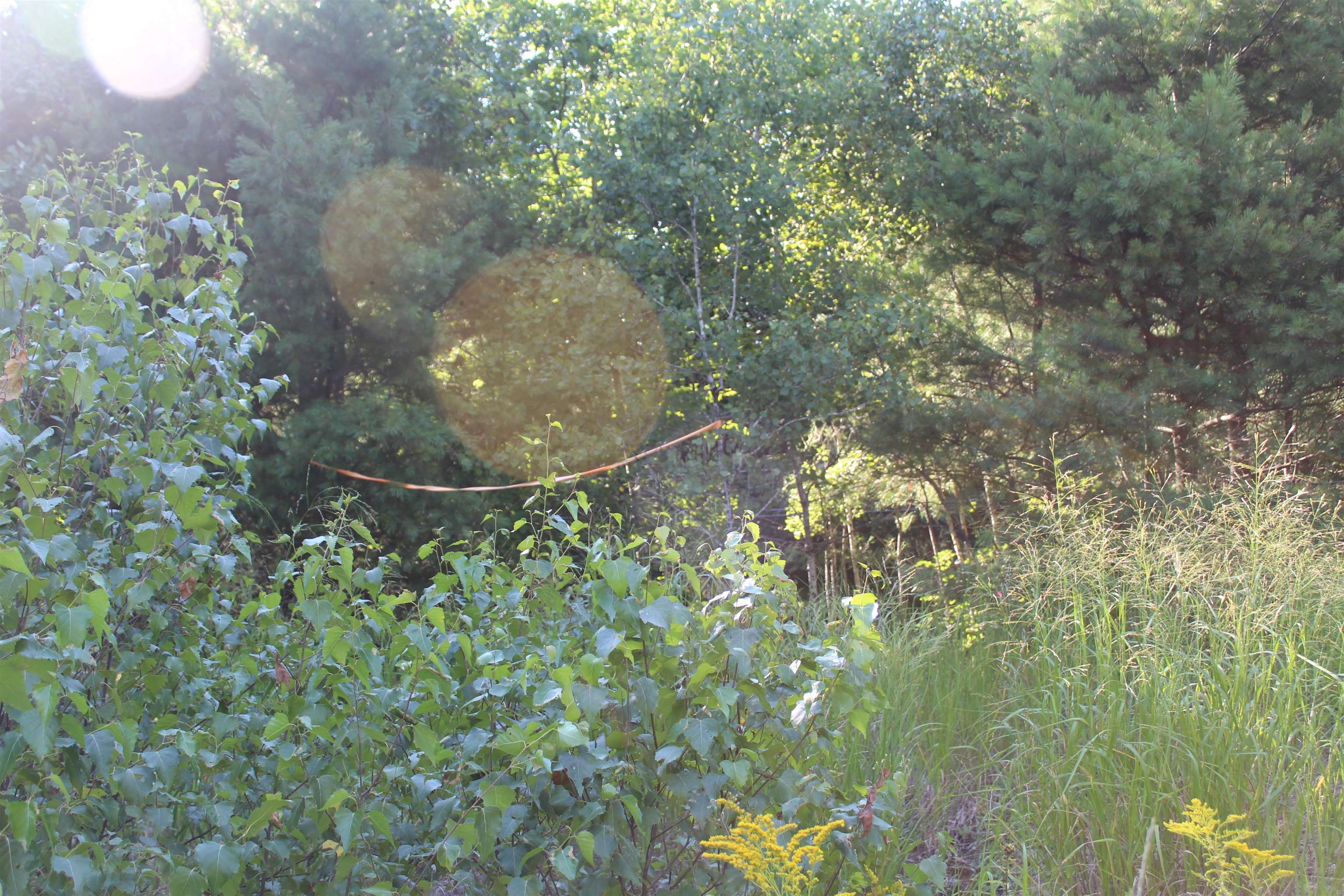 5 Catterall Road Lisbon, NH 03585 - Photo 20 of 40 Gallery Image 20