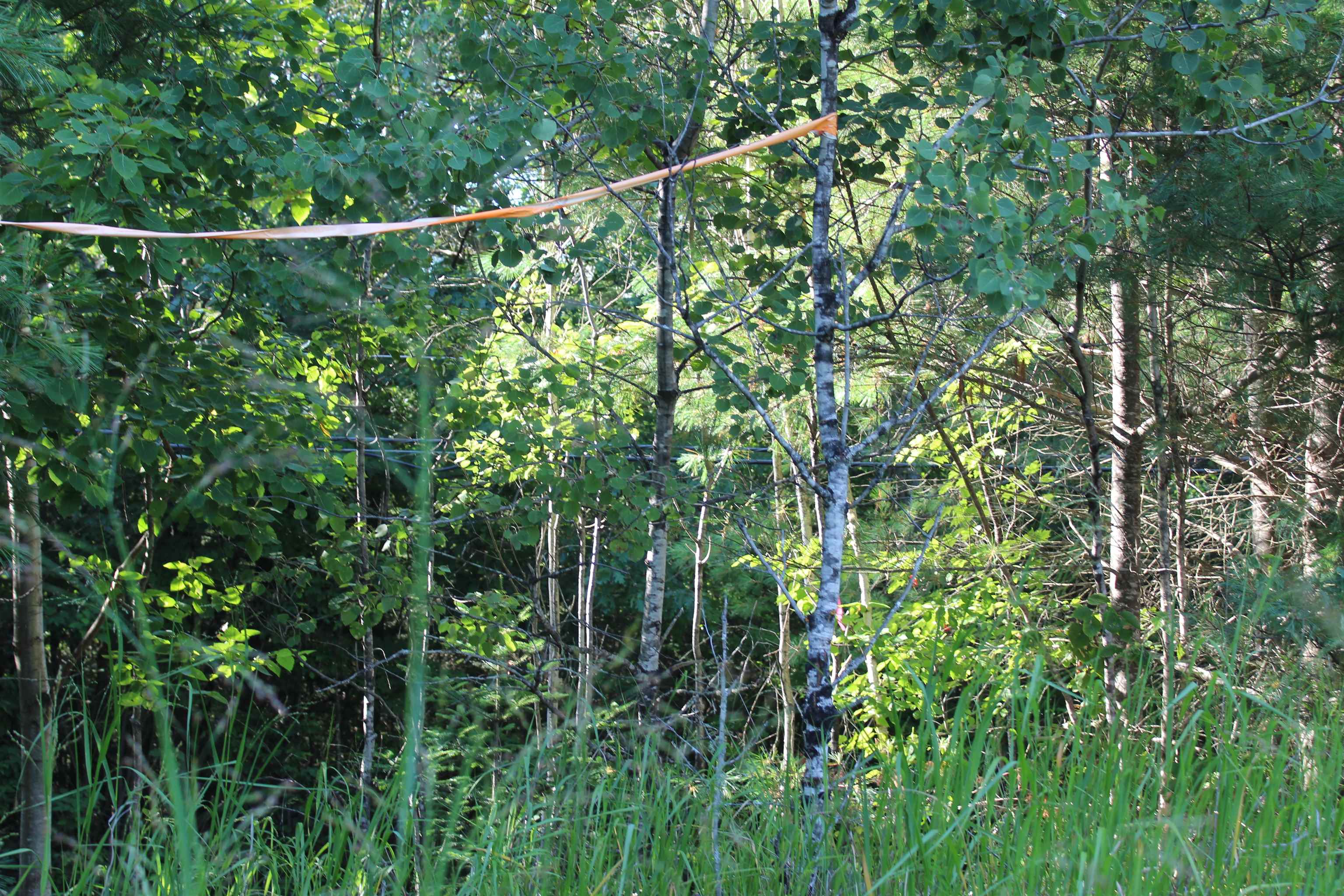 5 Catterall Road Lisbon, NH 03585 - Photo 22 of 40 Gallery Image 22
