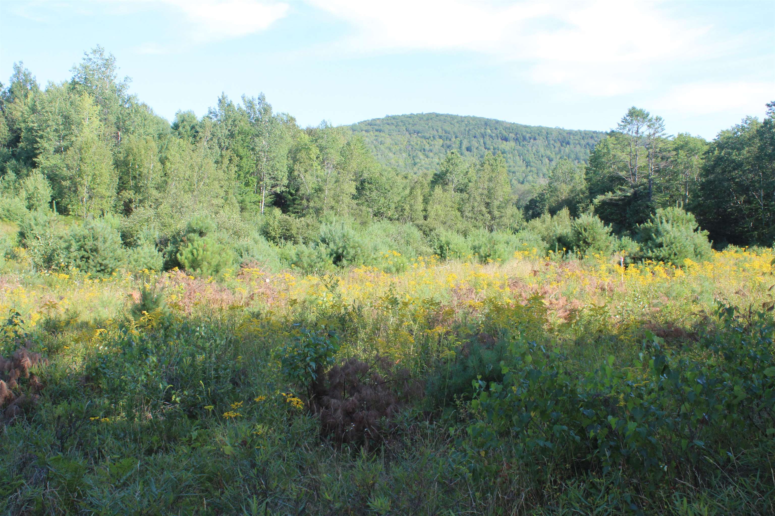 5 Catterall Road Lisbon, NH 03585 - Photo 29 of 40 Gallery Image 29