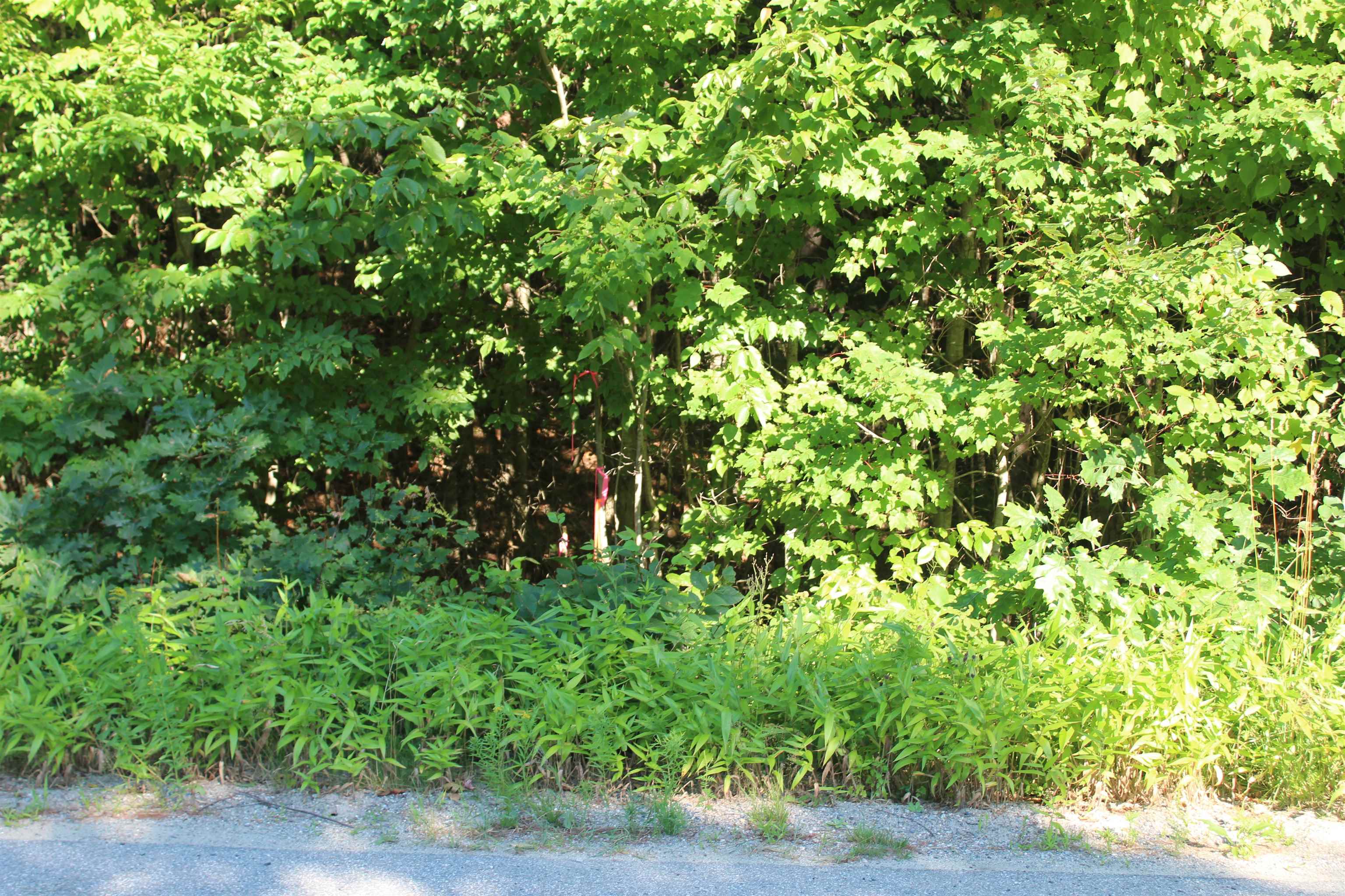 5 Catterall Road Lisbon, NH 03585 - Photo 32 of 40 Gallery Image 32