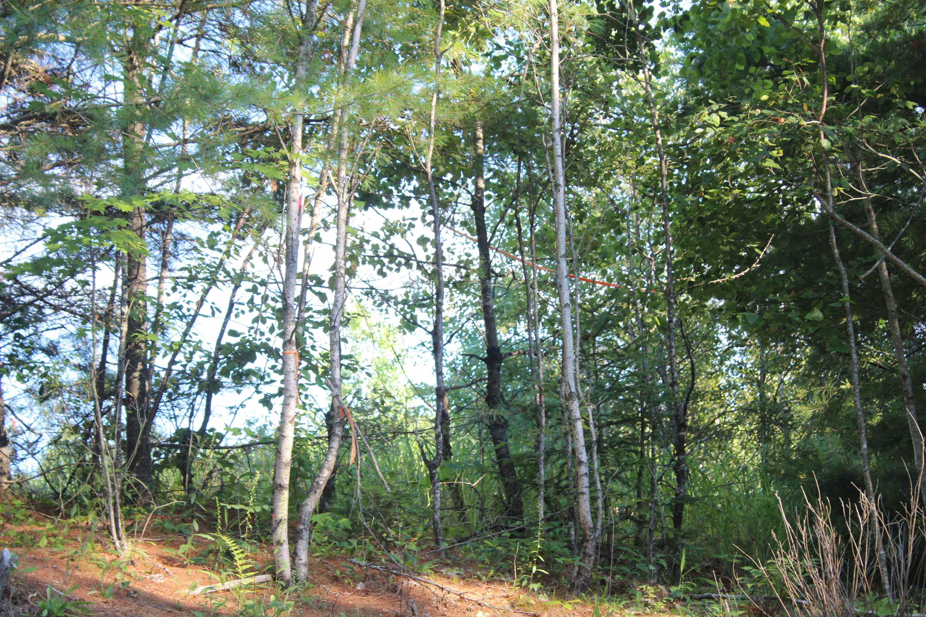 5 Catterall Road Lisbon, NH 03585 - Photo 33 of 40 Gallery Image 33