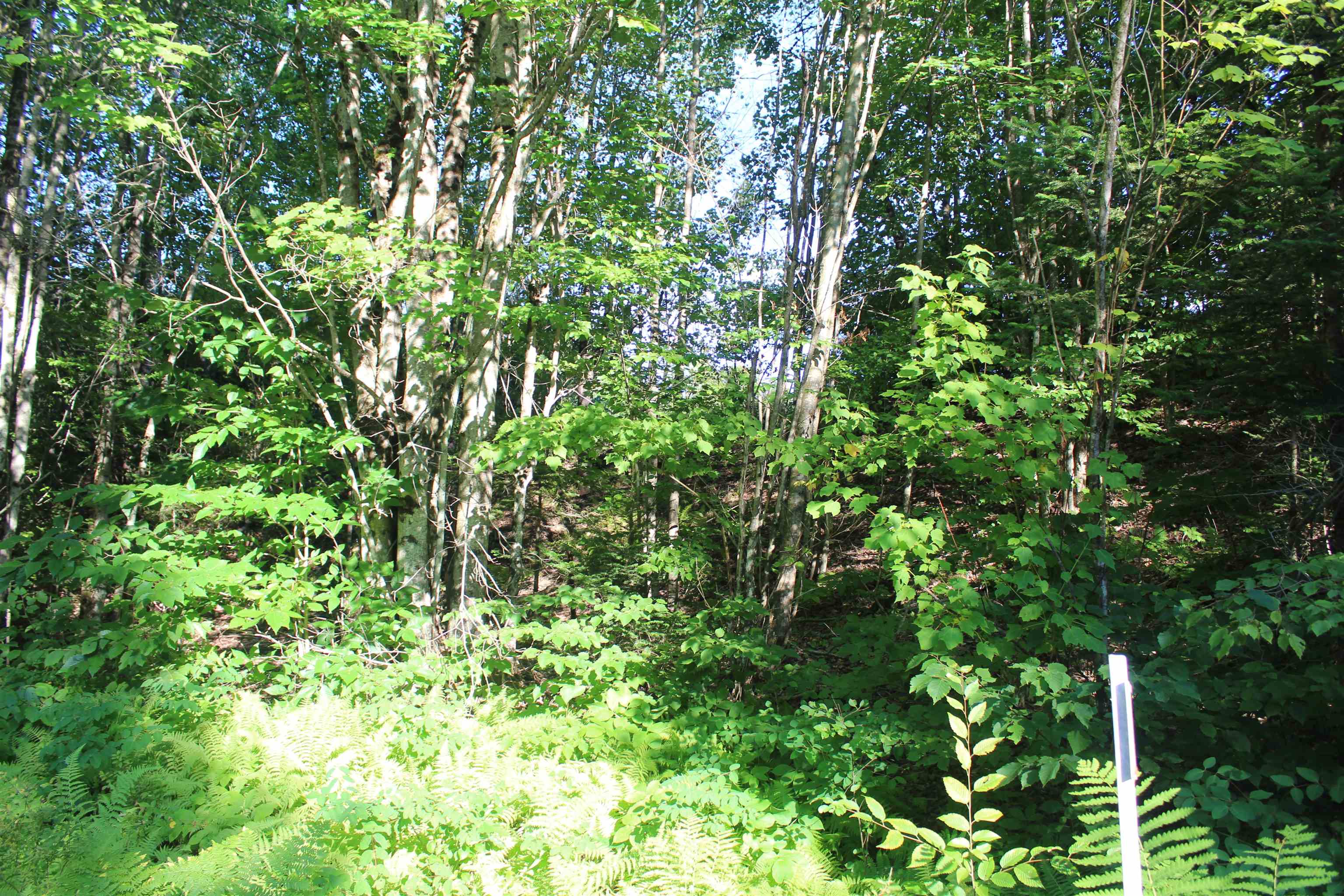5 Catterall Road Lisbon, NH 03585 - Photo 40 of 40 Gallery Image 40