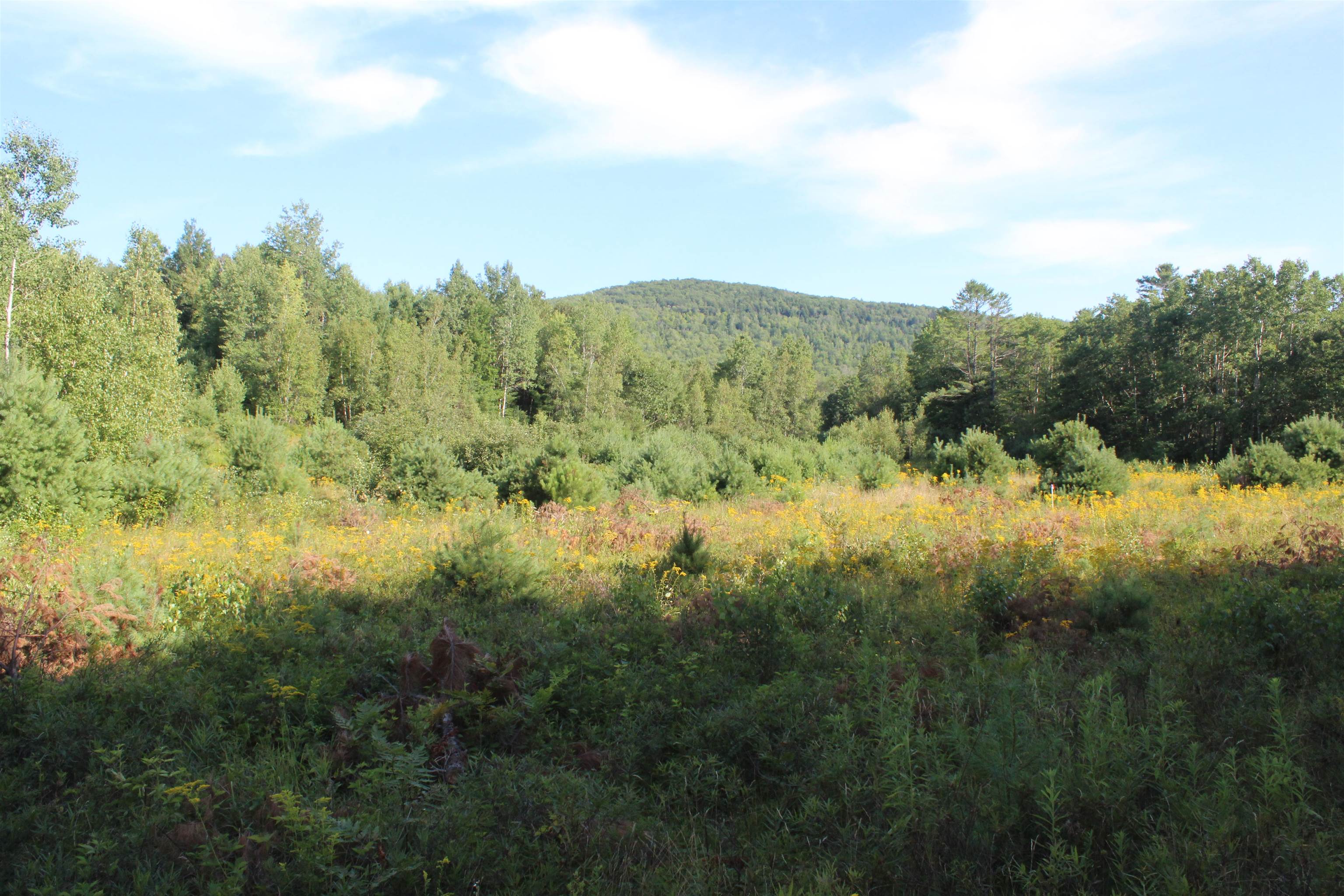 5 Catterall Road Lisbon, NH 03585 - Photo 9 of 40 Gallery Image 9