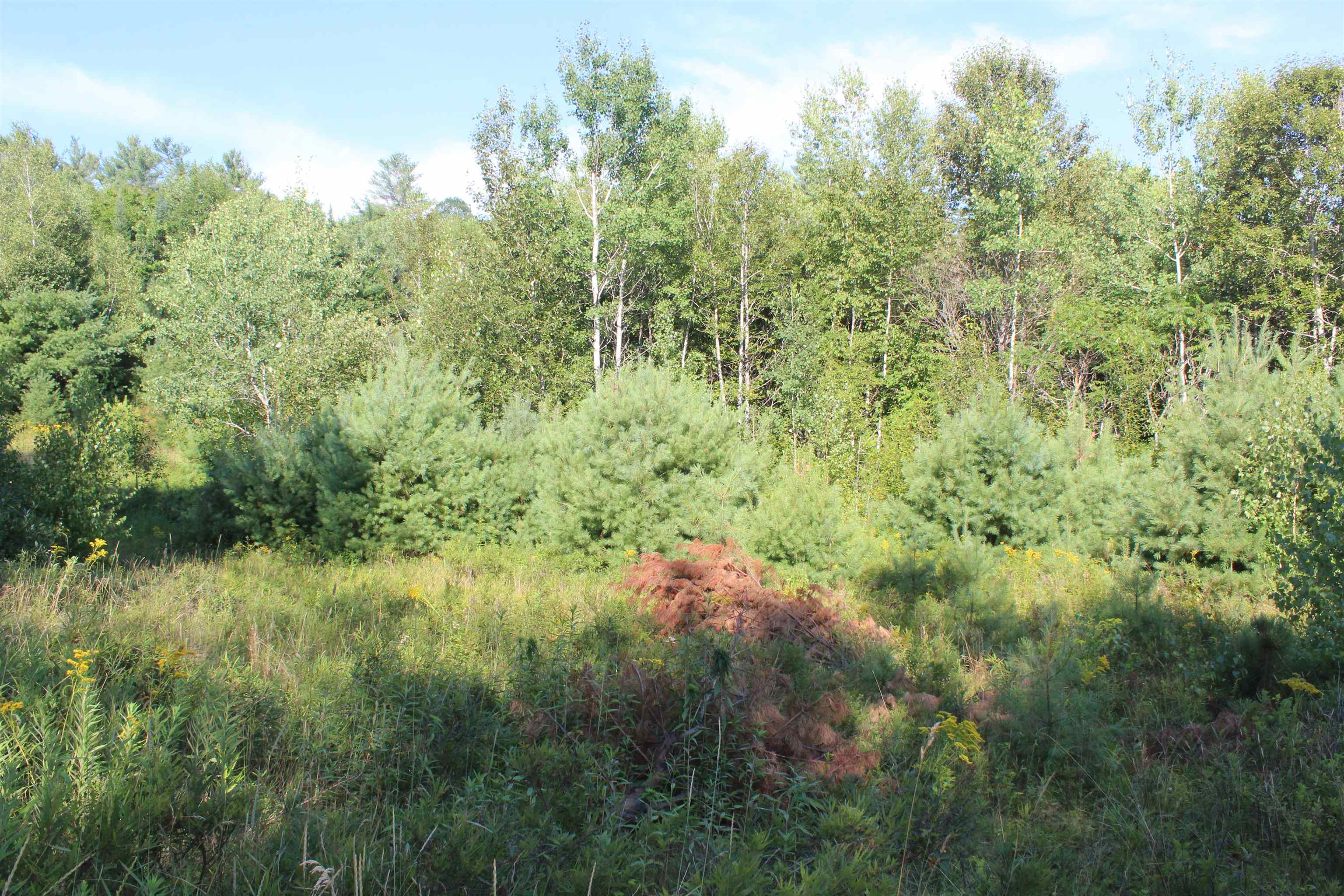 5 Catterall Road Lisbon, NH 03585 - Photo 10 of 40 Gallery Image 10