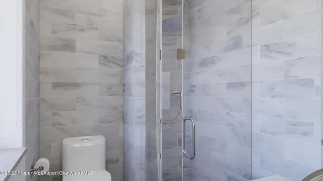 a bathroom with a shower and toilet