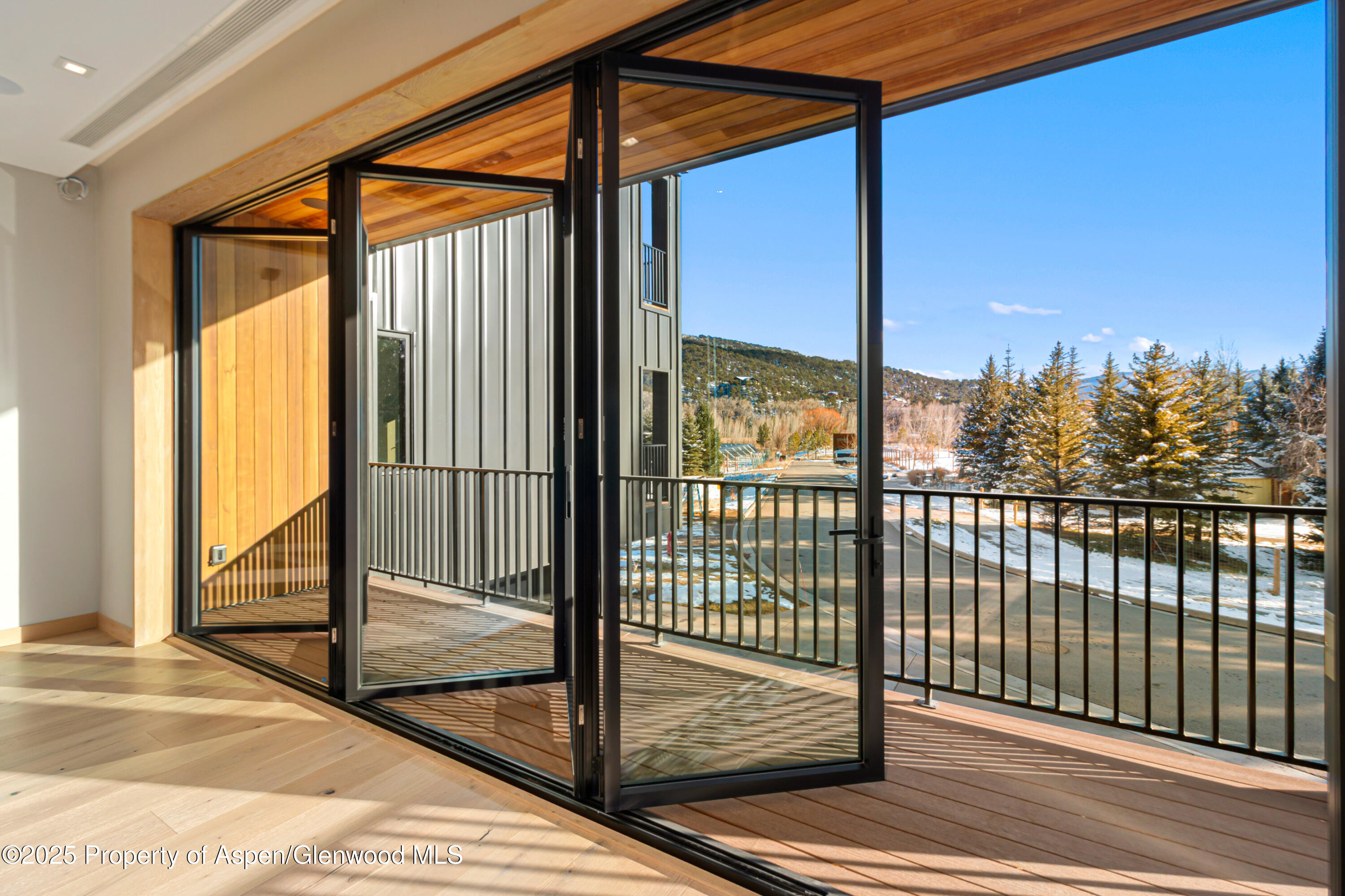 159 Lakeview Drive Basalt, CO 81621 - Photo 6 of 97 Folding Doors