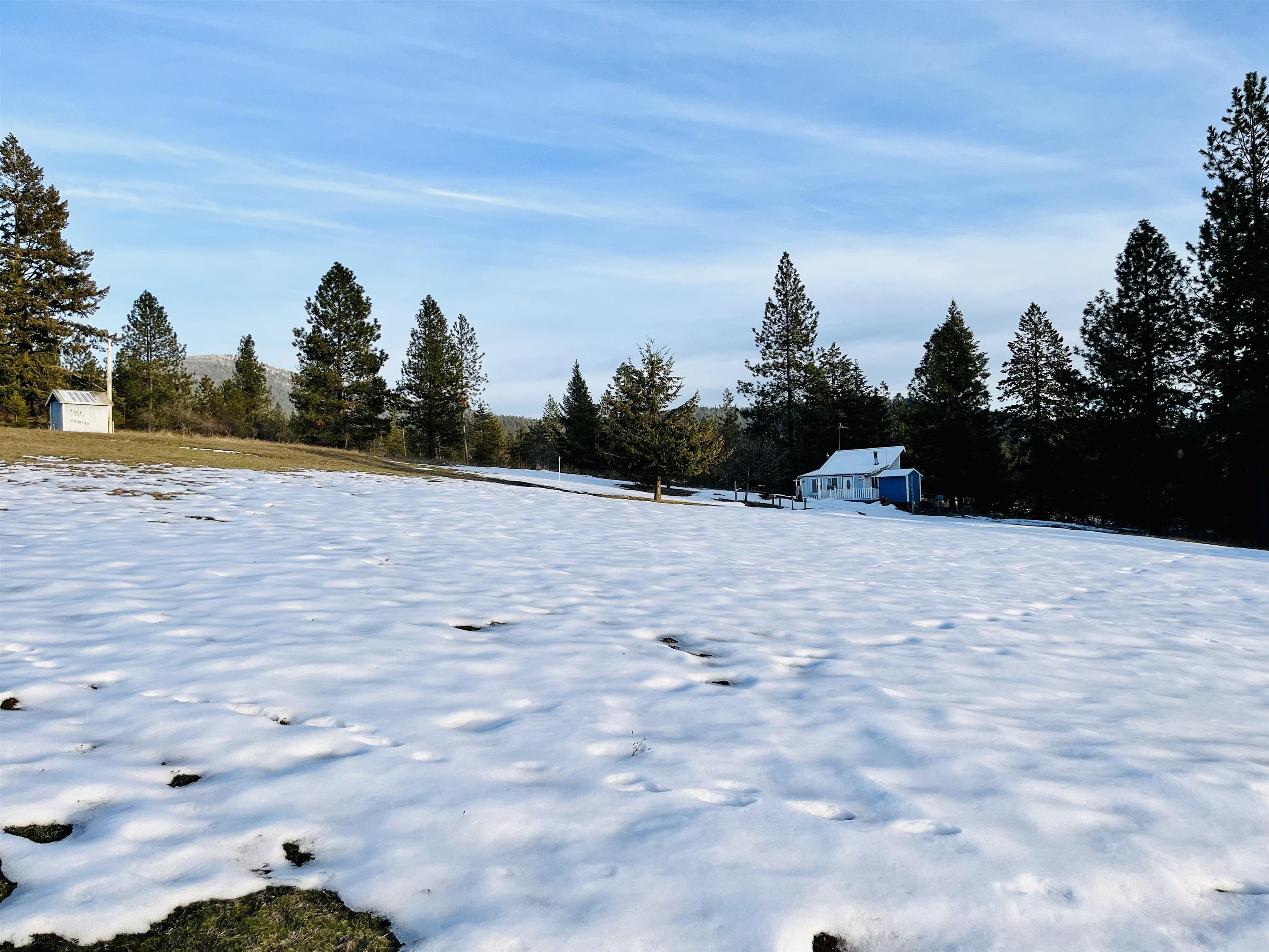 15010 East Tallman Road Chattaroy, WA 99003 - Photo 19 of 20