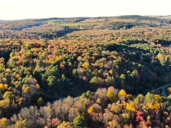 $220,000 | 260 Log Cabin Lane, New Berlin, NY 13843