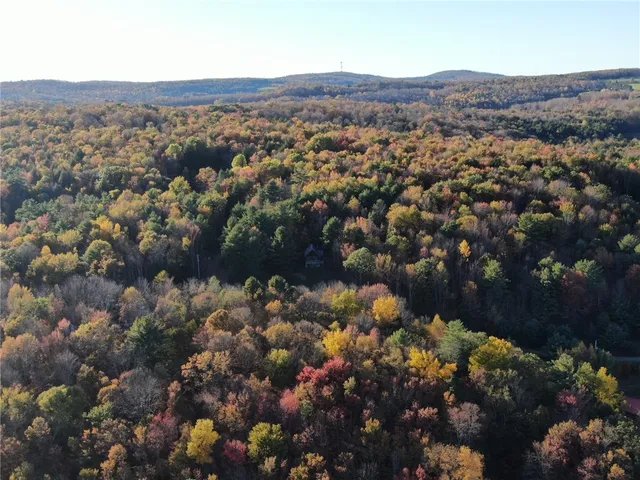 $220,000 | 260 Log Cabin Lane, New Berlin, NY 13843