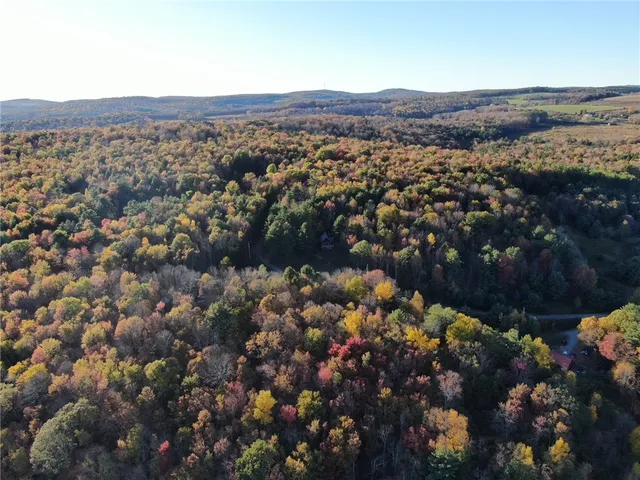 $220,000 | 260 Log Cabin Lane, New Berlin, NY 13843