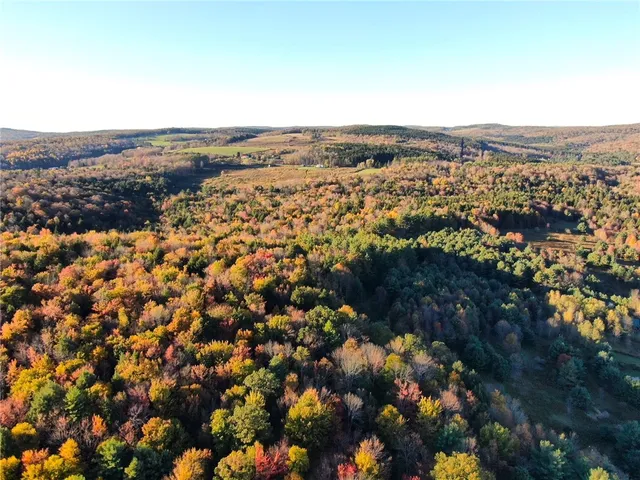 $220,000 | 260 Log Cabin Lane, New Berlin, NY 13843