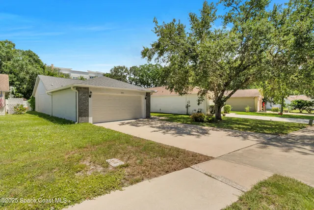a view of a tree with a yard