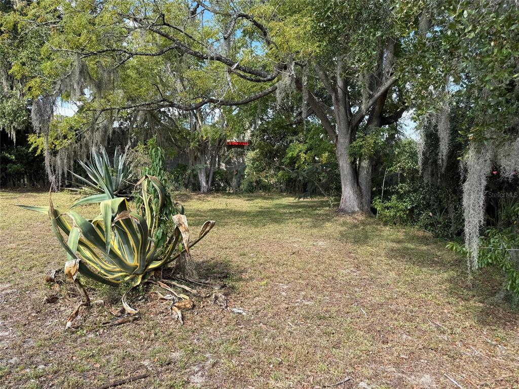 121 Lemon Street Lady Lake, FL 32159 - Photo 9 of 10 Gallery Image 9