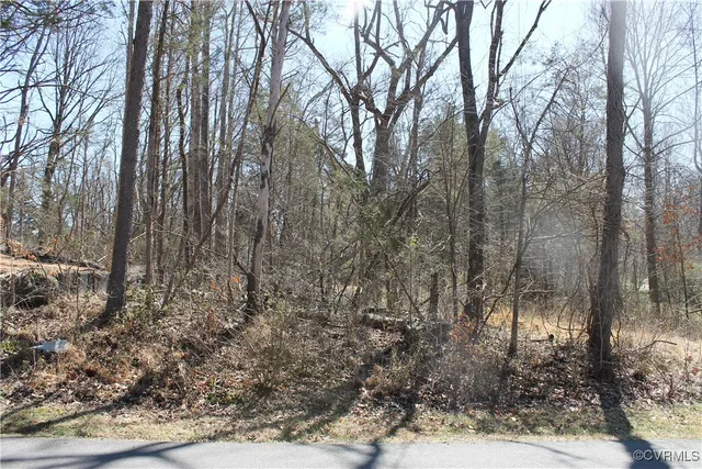 $25,000 | Lot #562 Locust Drive, Louisa, VA 23093