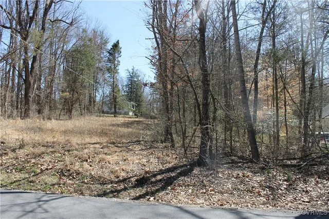 $25,000 | Lot #562 Locust Drive, Louisa, VA 23093