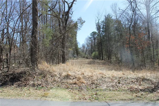 $25,000 | Lot #562 Locust Drive, Louisa, VA 23093
