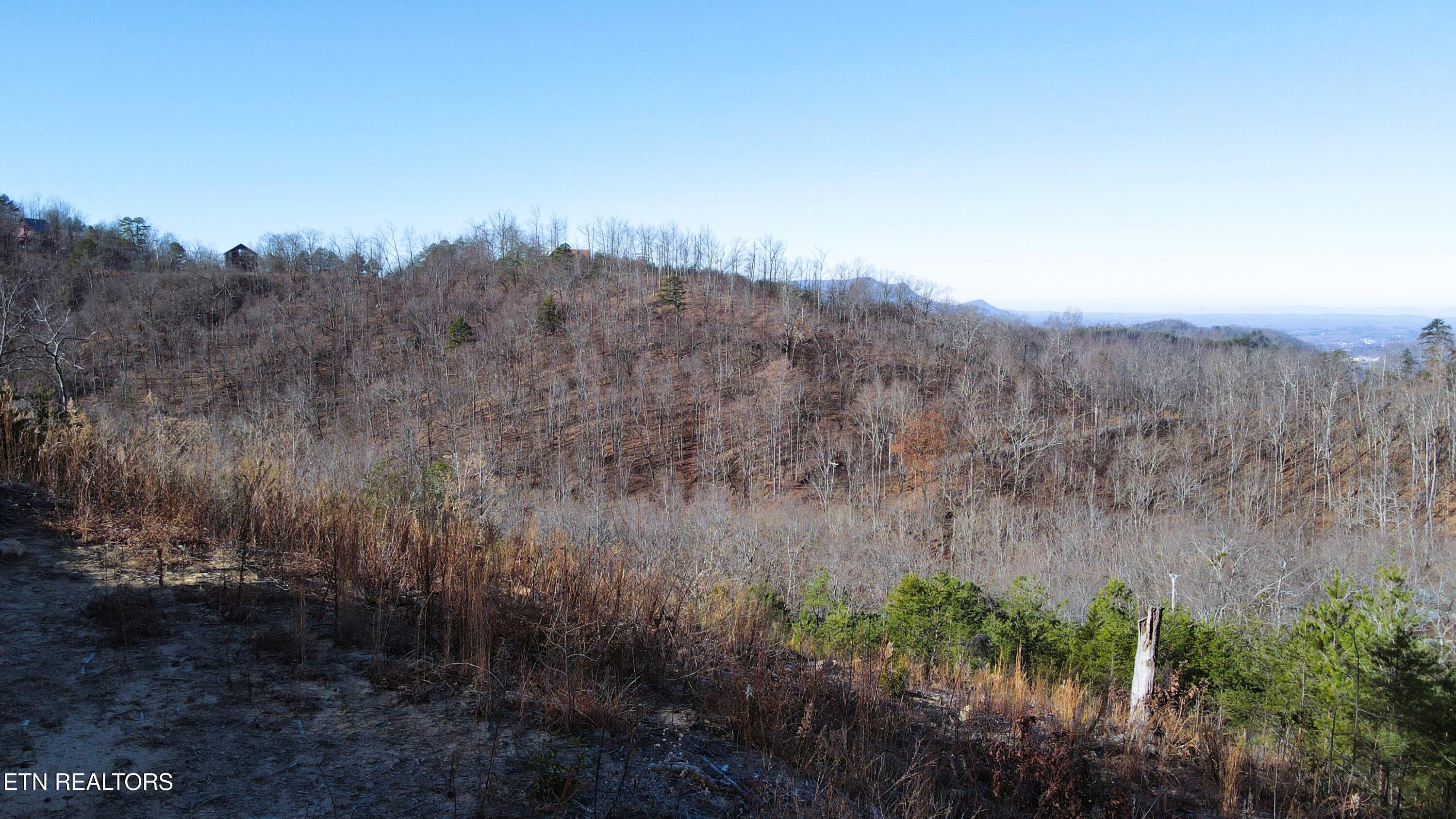 2140 Shields Terrace Sevierville, TN 37876 - Photo 13 of 15 DJI_0576