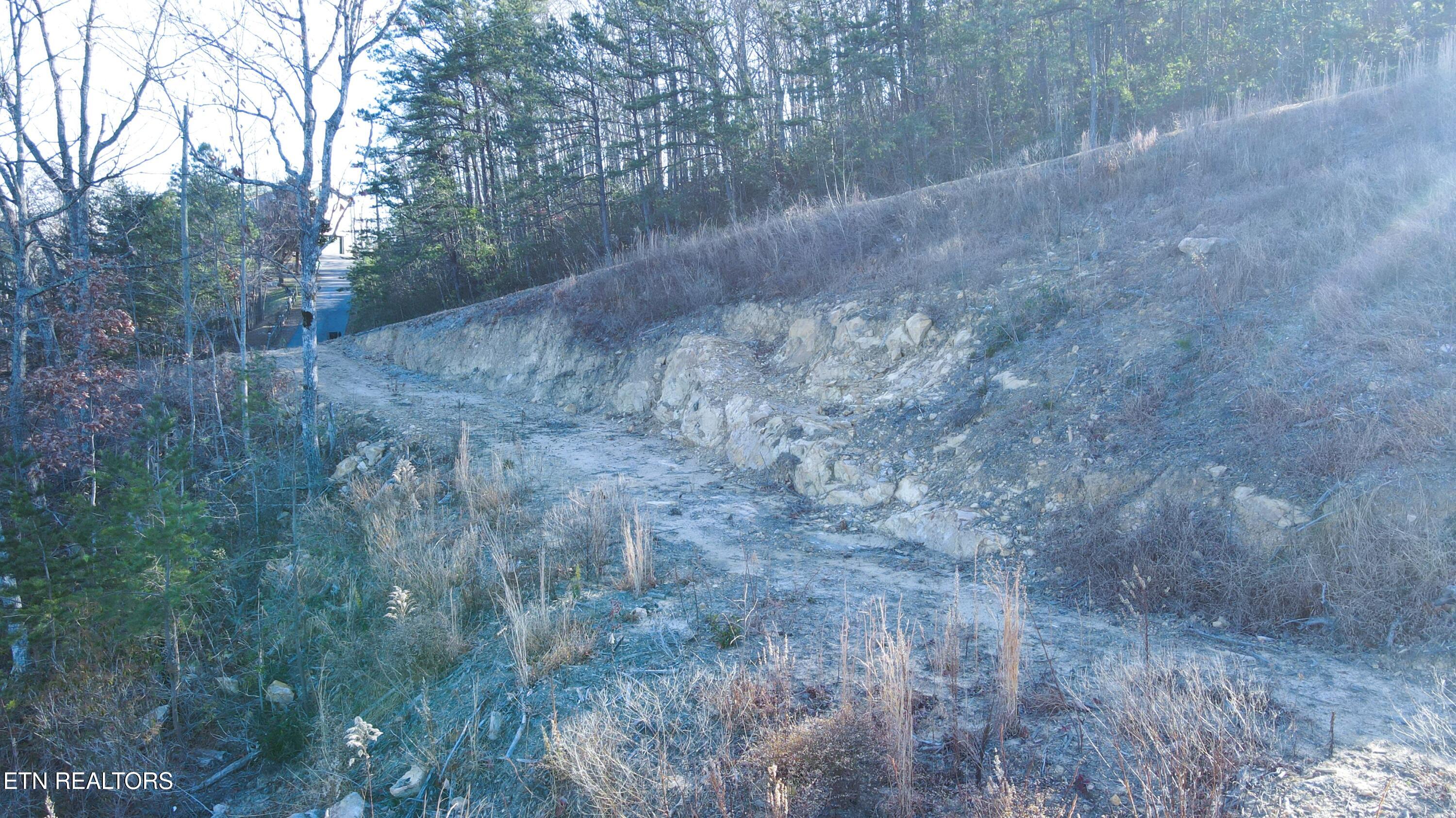 2140 Shields Terrace Sevierville, TN 37876 - Photo 14 of 15 DJI_0577