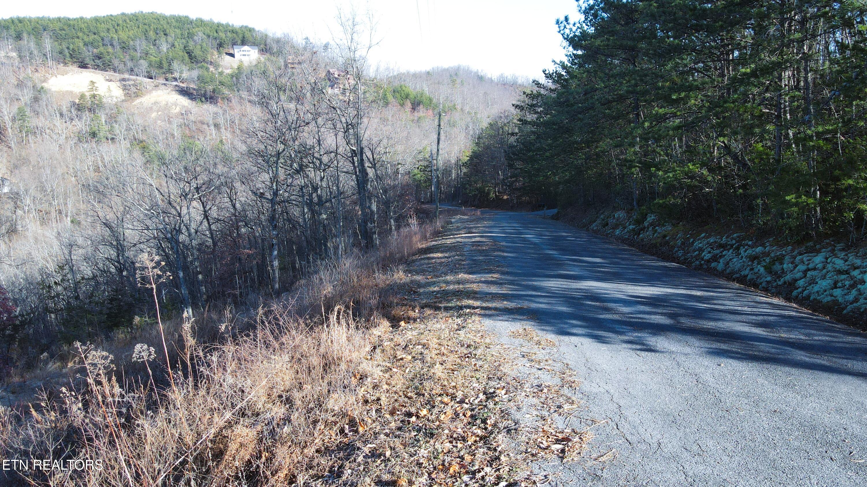 2140 Shields Terrace Sevierville, TN 37876 - Photo 10 of 15 DJI_0573