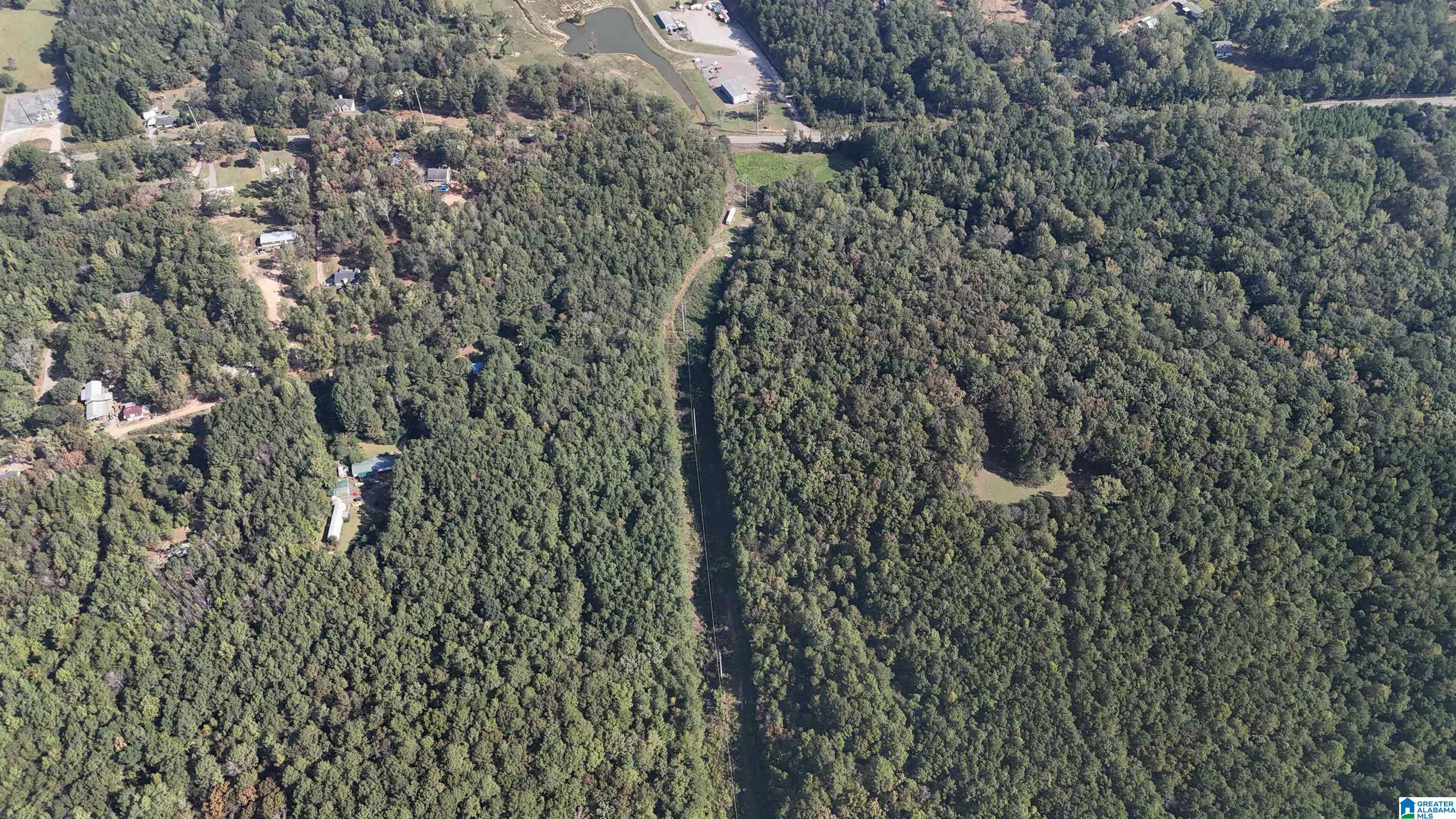0 Booler Road Vance, AL 35490 - Photo 1 of 19