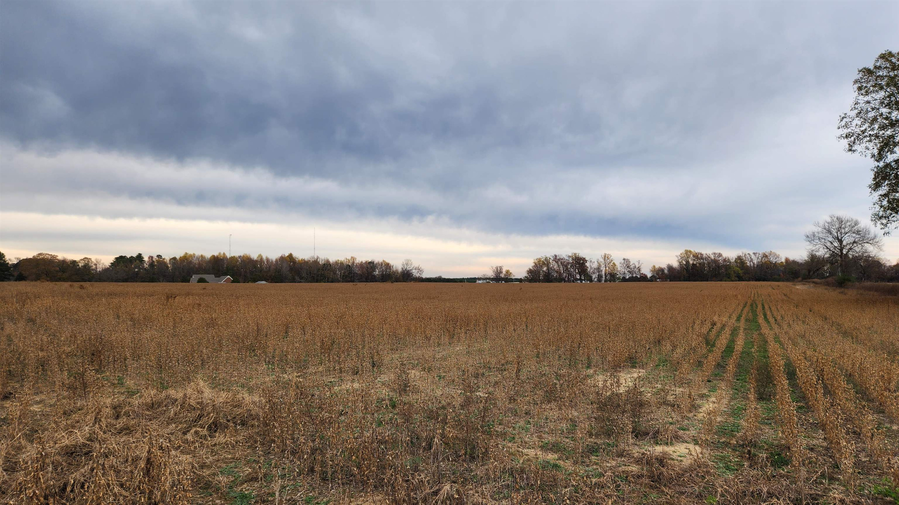 a view of a lake next to a lake with houses