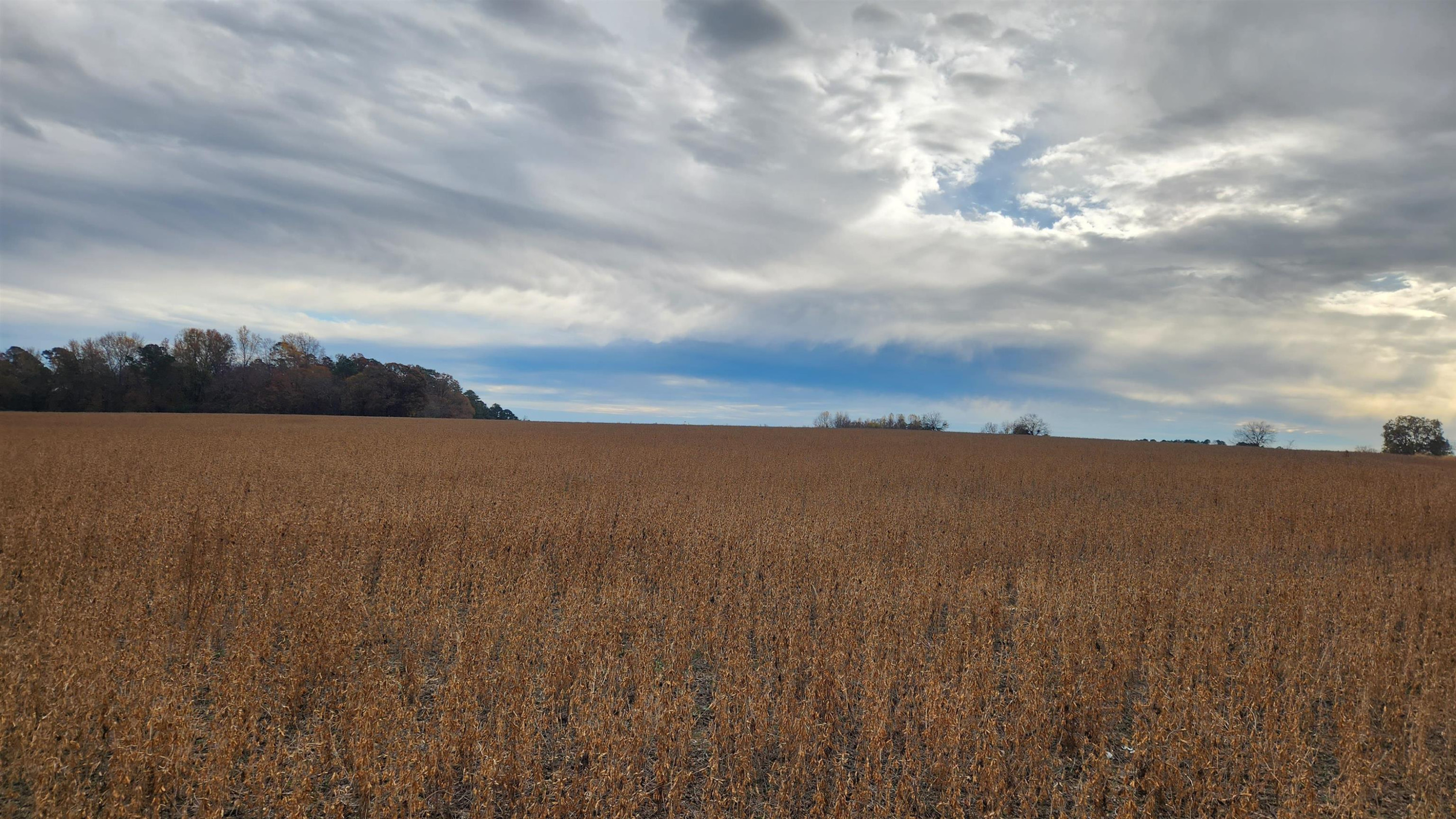 0 Warren Road Dunn, NC 28334 - Photo 2 of 8 a view of lake and mountain
