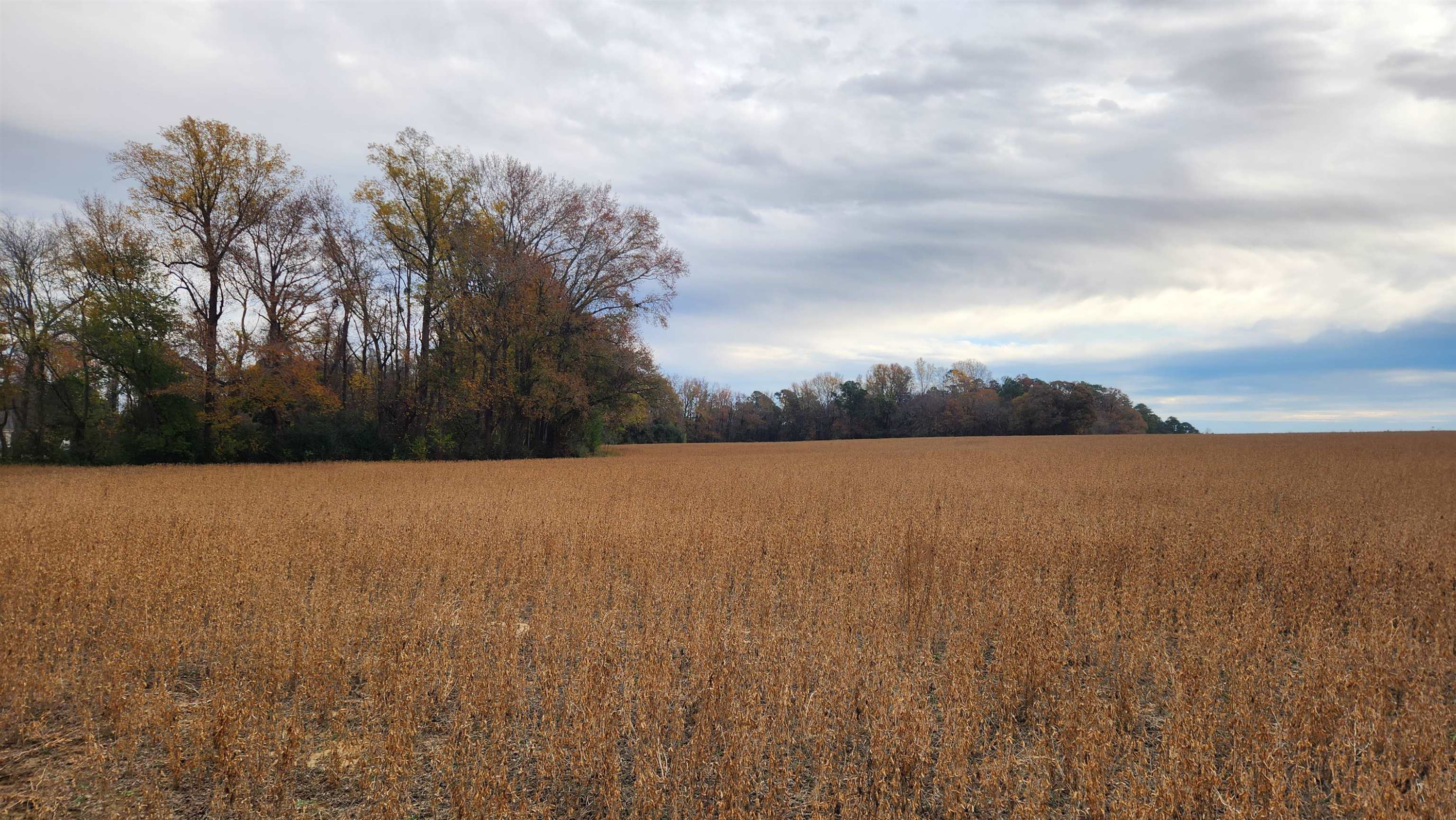 0 Warren Road Dunn, NC 28334 - Photo 3 of 8 a view of lake and mountain