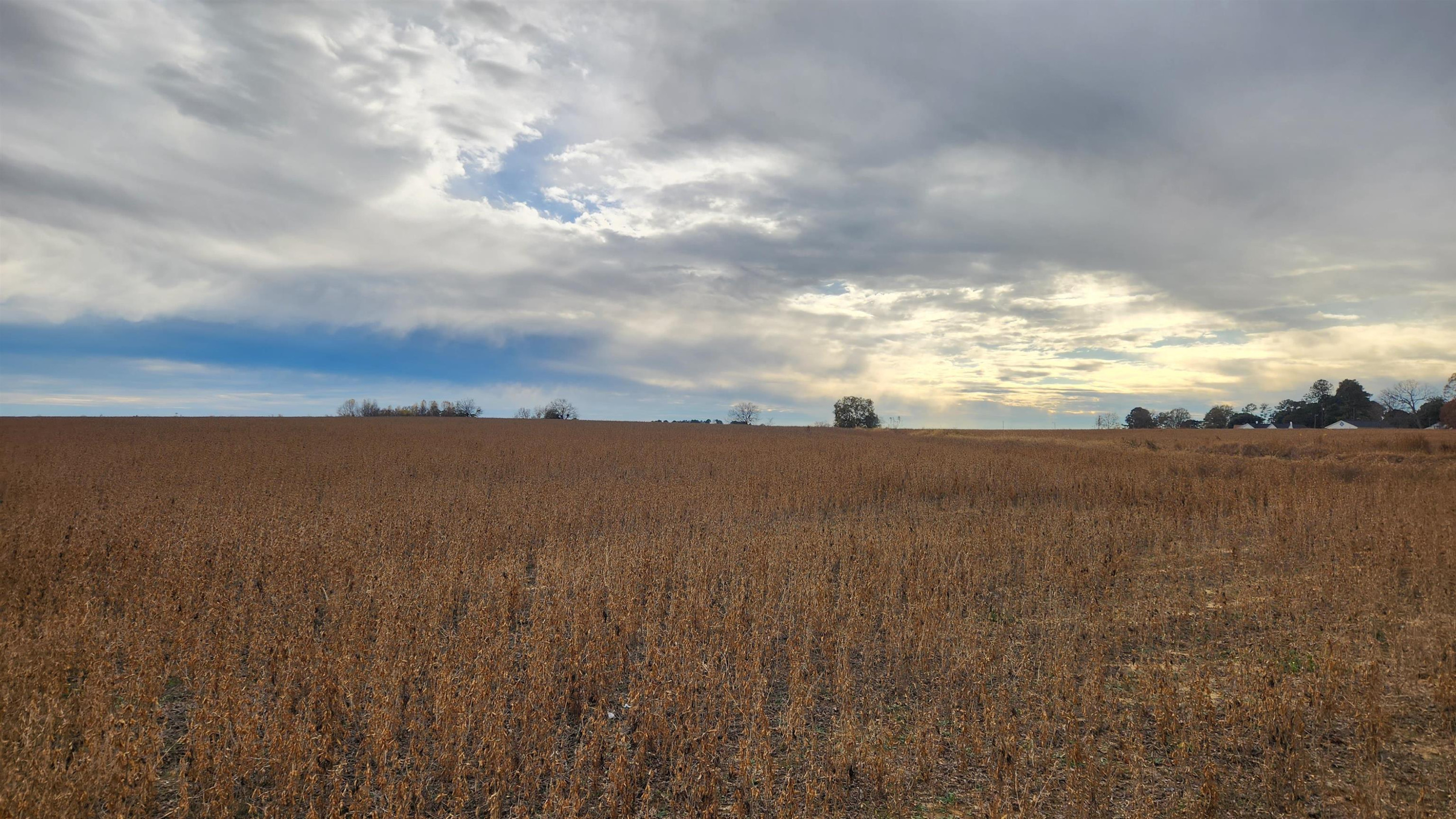 0 Warren Road Dunn, NC 28334 - Photo 5 of 8 a view of mountain with lake view