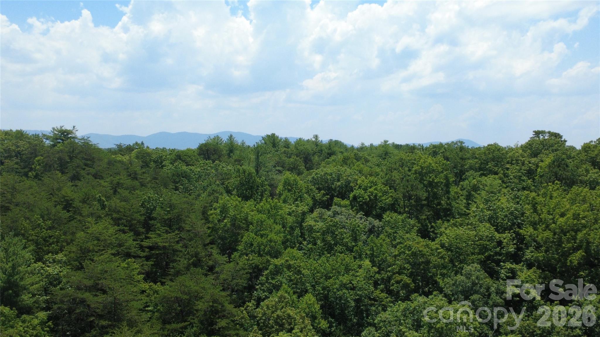 4691 Snowhill Church Road Morganton, NC 28655 - Photo 21 of 27 Gallery Image 21