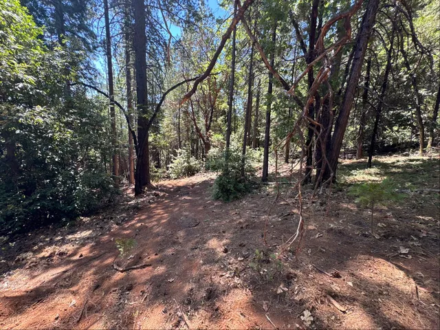 a view of outdoor space with trees